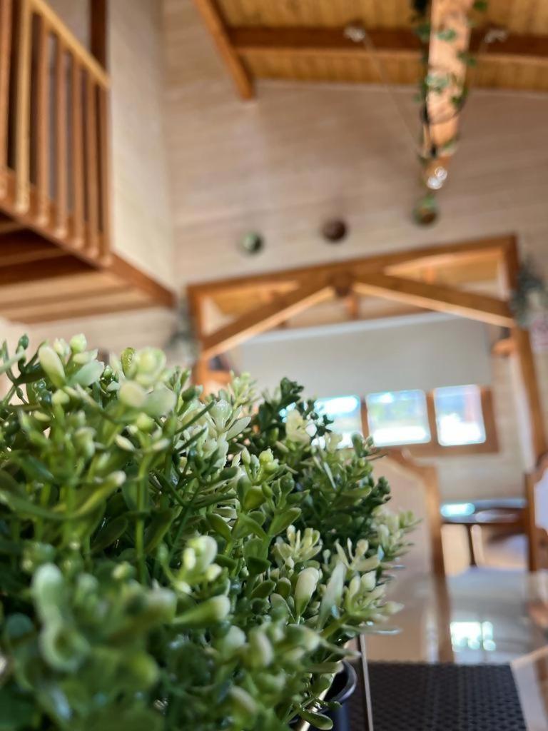 Luxury Rural Cuenca Villas חדר תמונה